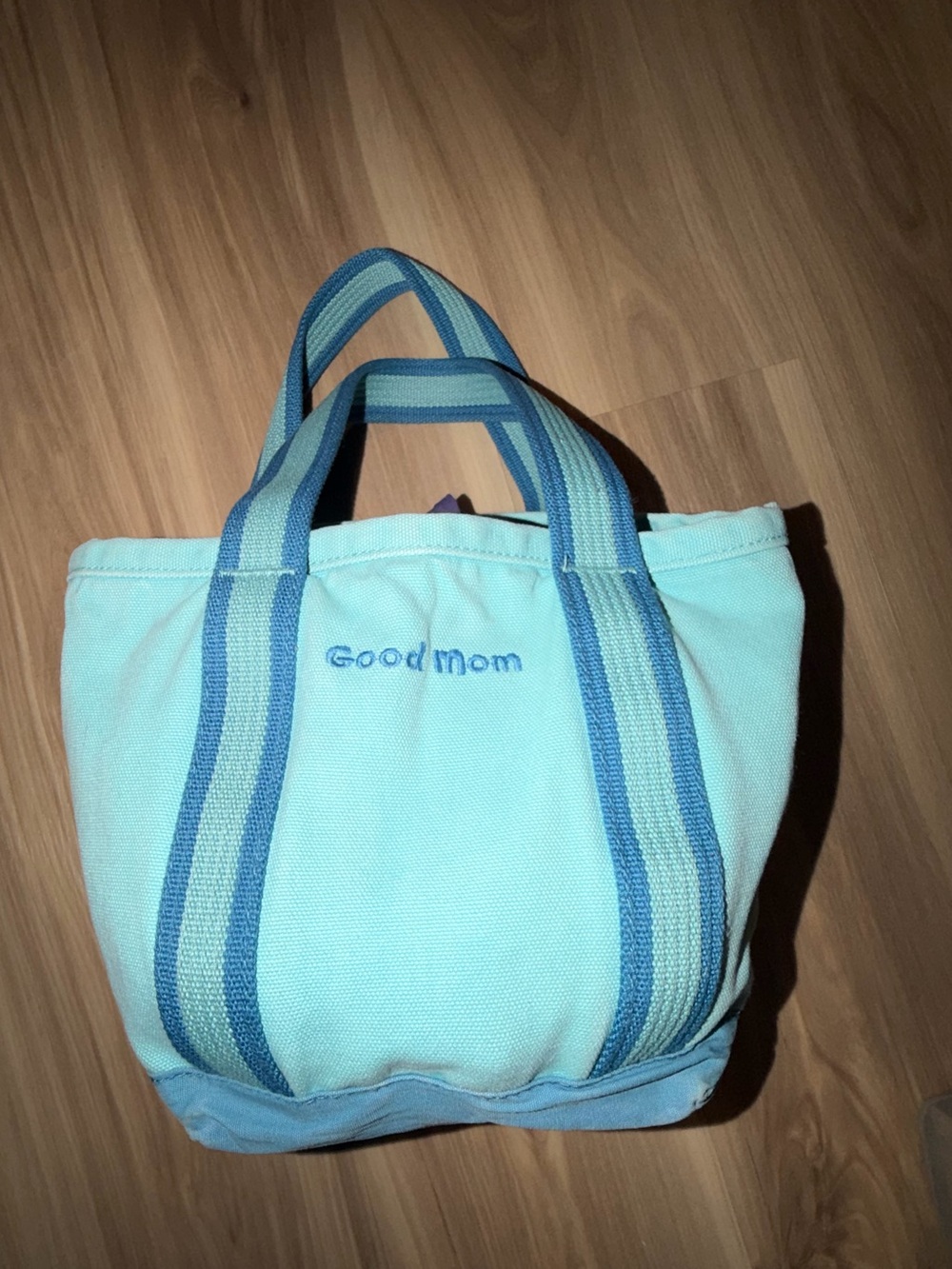 Light Blue Canvas Tote Bag and Book.